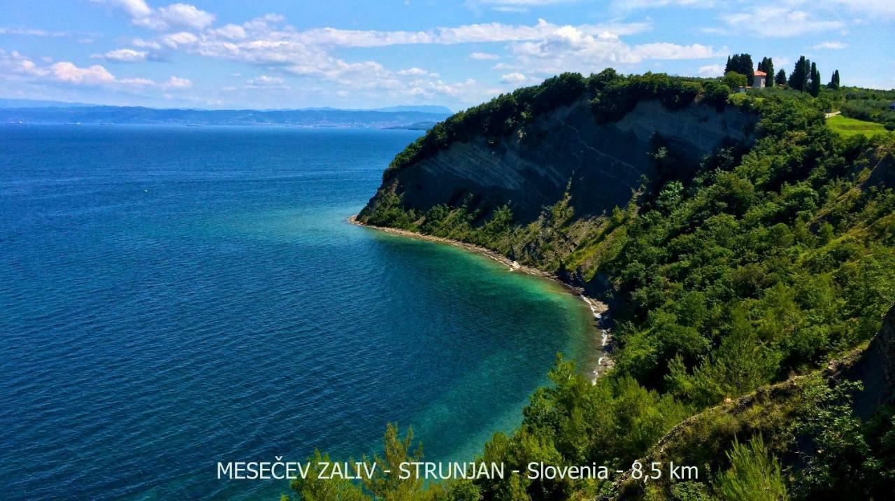 Peaceful Family Apartments Jasna Portorož Zewnętrze zdjęcie